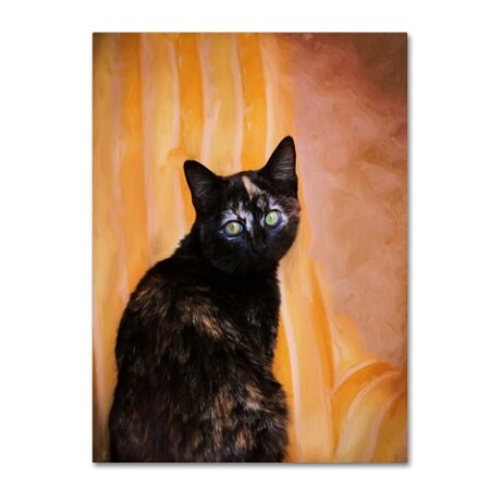 Jai Johnson 'Royal Kitten' Canvas Art,18x24